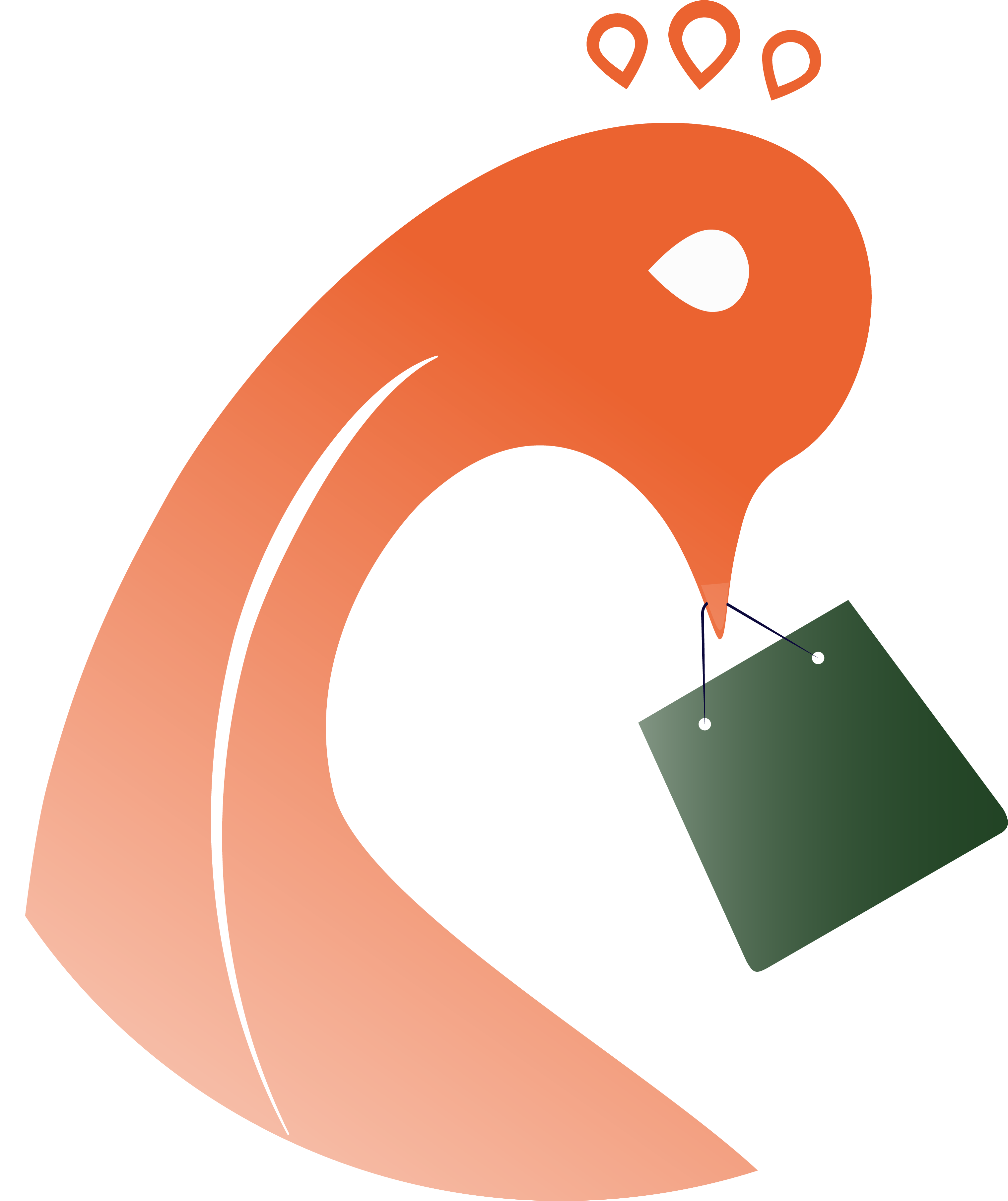 Zaars logo